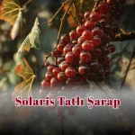 Solaris Tatlı Şarap