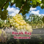 Büyük Bağ Osmanca