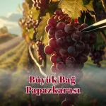 Büyük Bağ Papazkarası