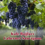 Kale Bağları Cabernet Sauvignon