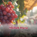 Shiluh Dara