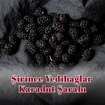 Şirince Yedibağlar Karadut Şarabı