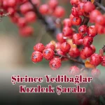Şirince Yedibağlar Kızılcık Şarabı