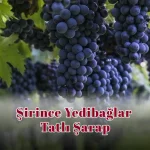 Şirince Yedibağlar Tatlı Şarap