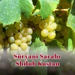 Süryani Şarabı Shiluh Kustan