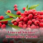 Vincent Şirince Ahududu Şarabı