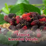 Vinova Karadut Şarabı