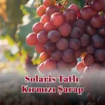 Solaris Tatlı Kırmızı Şarap