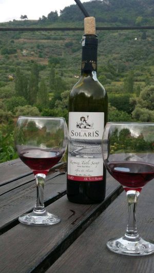 Solaris Tatlı Kırmızı Şarap