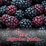 Zeus Böğürtlen Şarabı