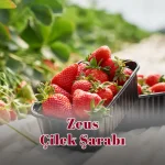 Zeus Çilek Şarabı