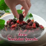 Zeus Karadut Şarabı