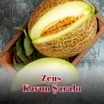 Zeus Kavun Şarabı