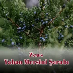 Zeus Yaban Mersini Şarabı