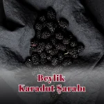 Beylik Karadut Şarabı