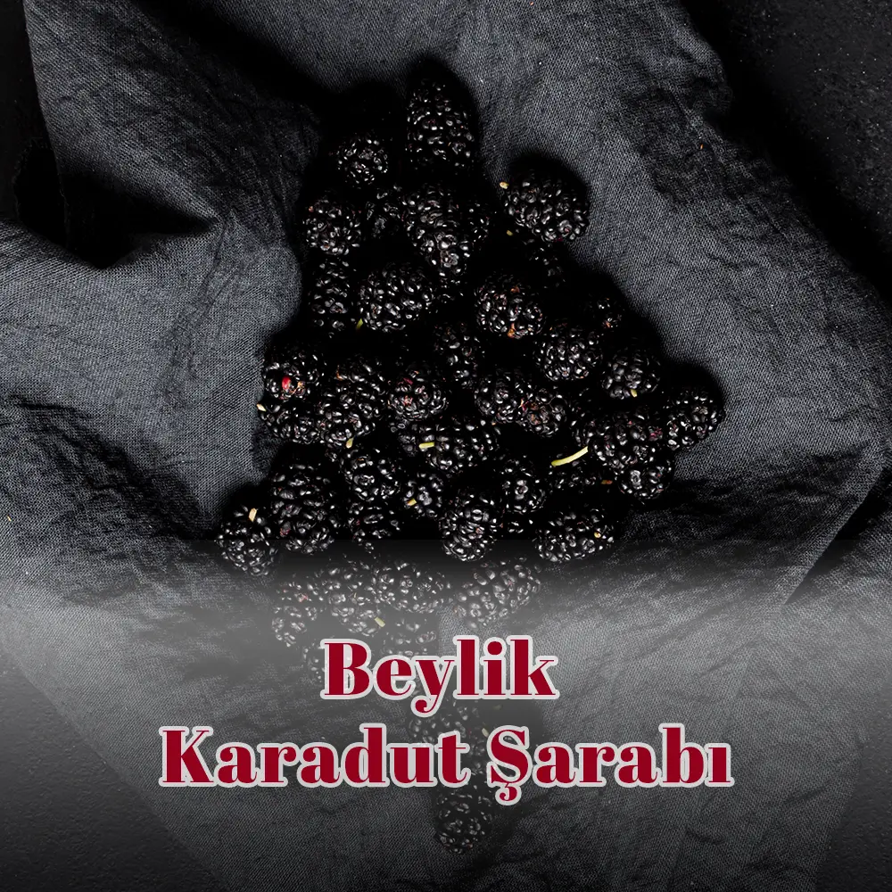 Beylik Karadut Şarabı Beylik Karadut Şarabı - Görsel 1