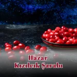 Hazar Kızılcık Şarabı