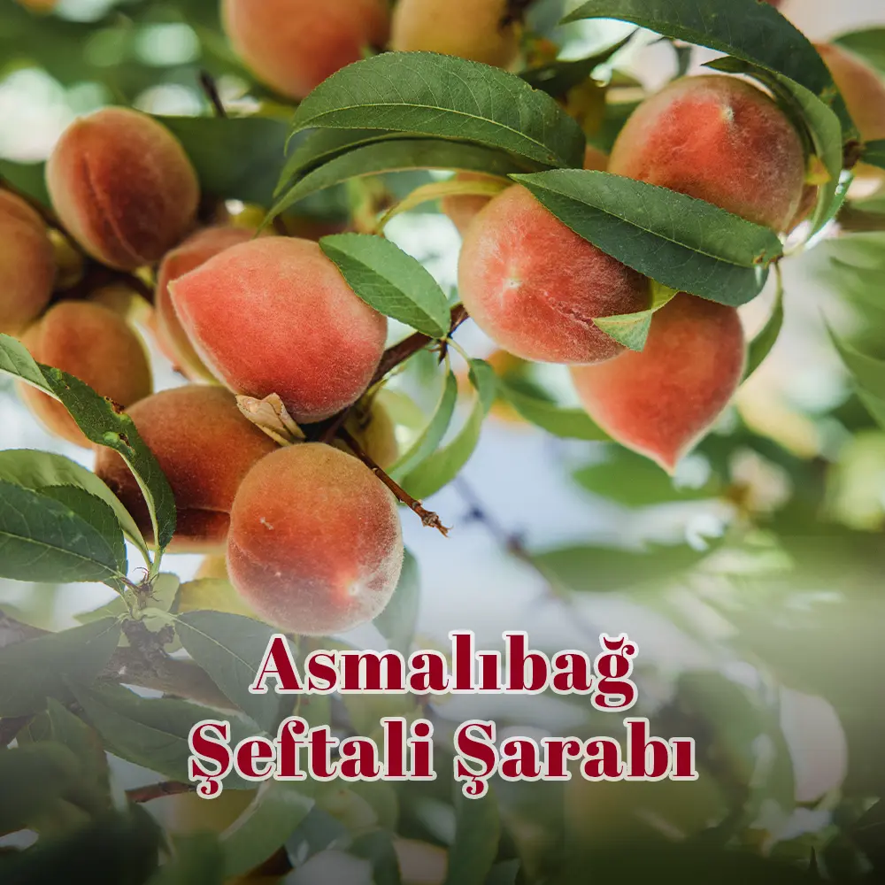 Asmalıbağ Şeftali Şarabı Asmalıbağ Şeftali Şarabı - Görsel 1