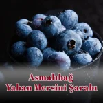 Asmalıbağ Yaban Mersini Şarabı