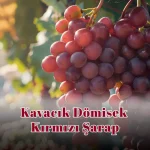 Kavacık Dömisek Kırmızı Şarap