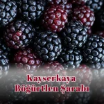 Kayserkaya Böğürtlen Şarabı