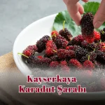 Kayserkaya Karadut Şarabı
