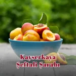 Kayserkaya Şeftali Şarabı