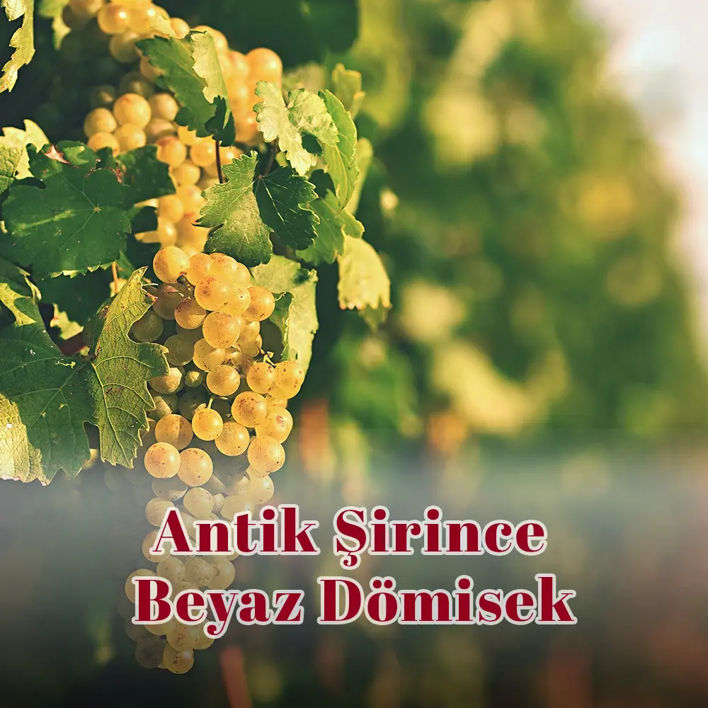 Antik Şirince Beyaz Dömisek Şarap