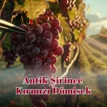Antik Şirince Kırmızı Dömisek Şarap