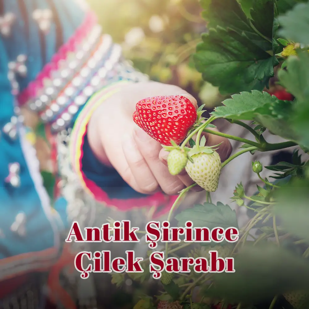 Antik Şirince Çilek Şarabı