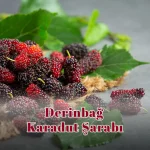 Derinbağ Karadut Şarabı