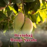 Derinbağ Mango Şarabı