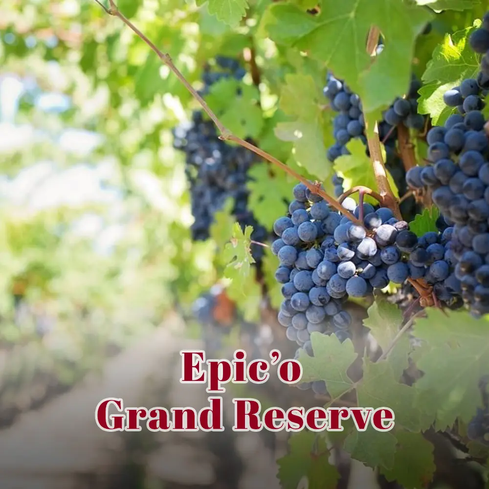 Epic’o Grand Reserve